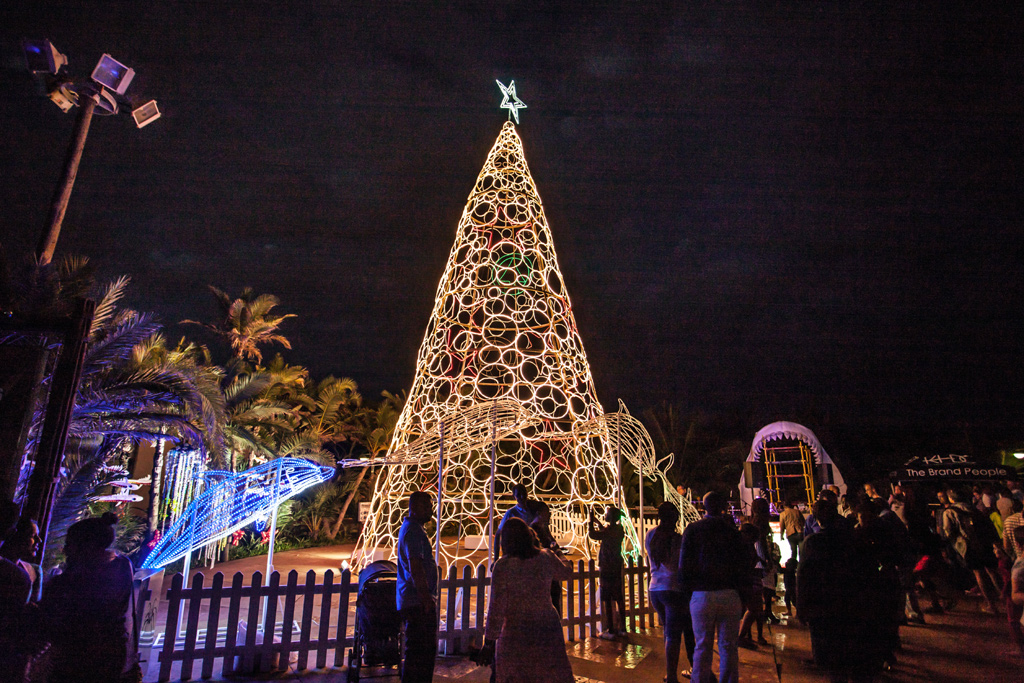 Organisation to unveil Africa’s tallest Christmas tree in Abuja