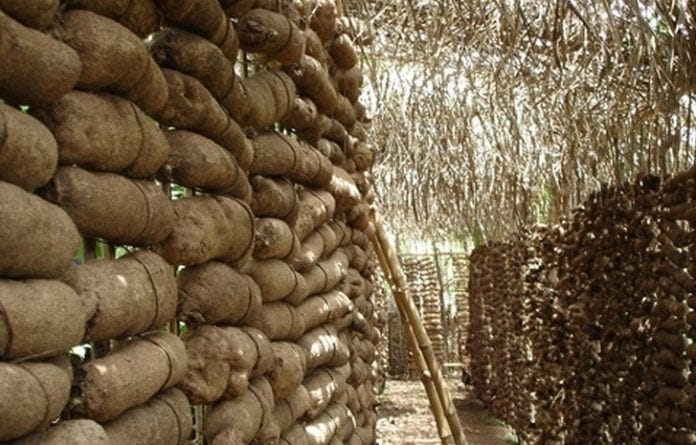 Nigeria Seeks To Enlist New Yam Festival In UNESCO Cultural Heritage