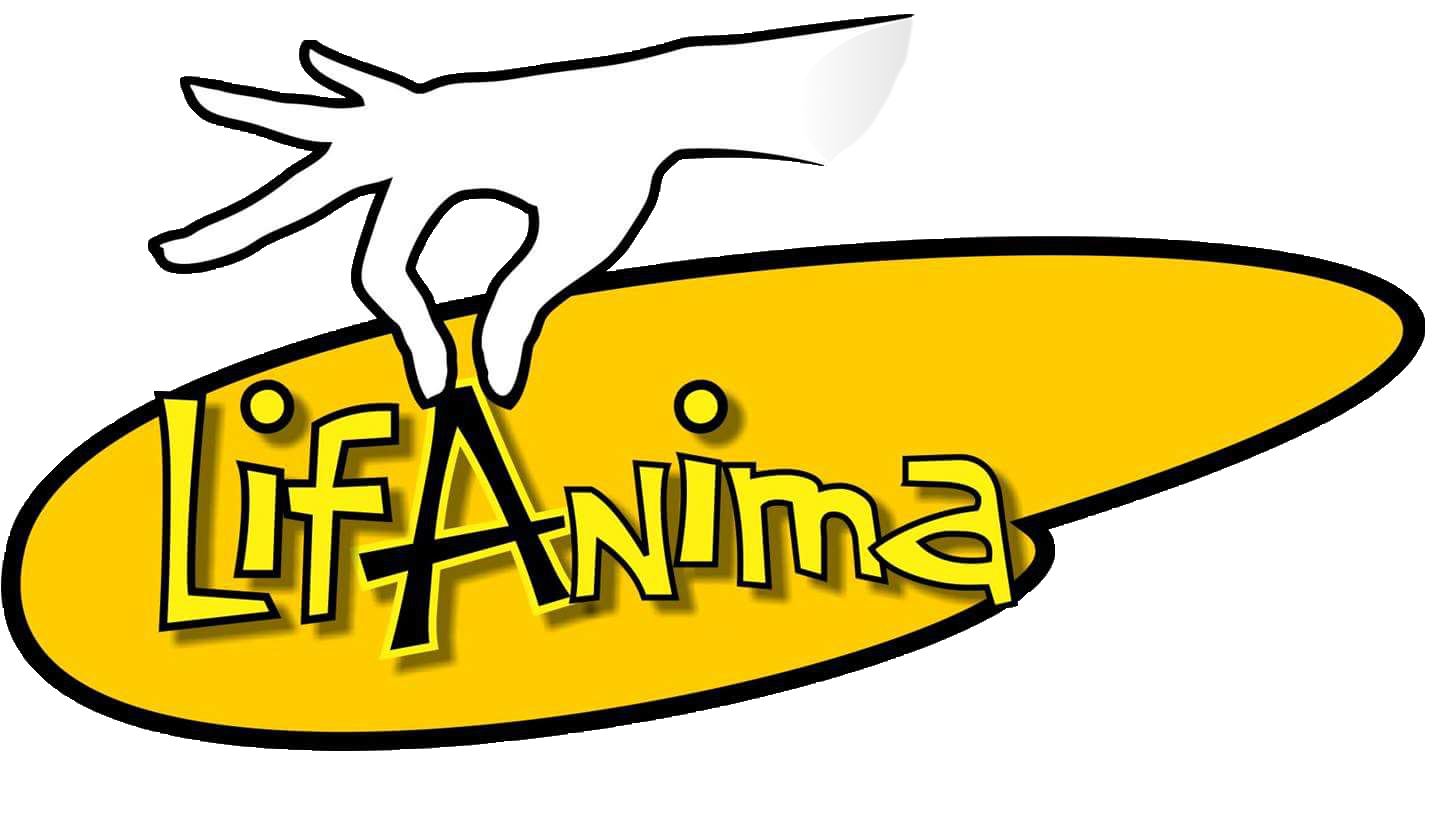 Lagos International Festival of Animation 2024